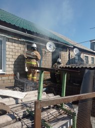 Черемисиновские огнеборцы потушили дом