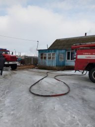 Железногорские пожарные отстояли жилье