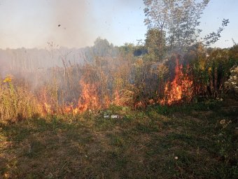 ​Оперативная работа Дмитриевских огнеборцев