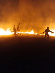 ​Пожары в с. Демино Курского района потушены