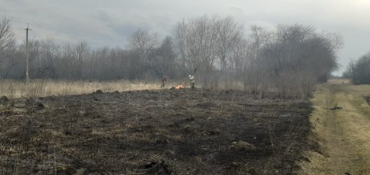 ​Возгорание сухой травы в Золотухинском районе ликвидировано