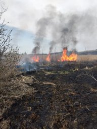 ​Фатежские борцы с огнем  на тушении сухой травы