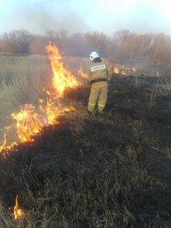 ​Горение сухой травы ликвидировано!