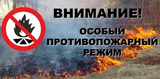 ​С 29 июня на территории города Курска установлен особый противопожарный режим