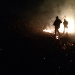 ​Горение сухой травы ликвидировано огнеборцами Советского района