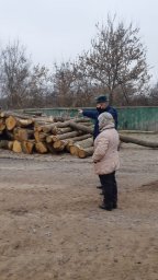 ​Проверка деревоперерабатывающего предприятия в Хомутовском районе