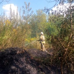 ​Огнеборцы ПЧ Железногорского района на тушении сухостоя