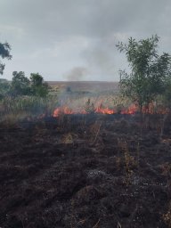 ​Фатежские огнеборцы на тушении сухой травы