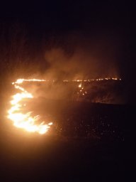 ​Черемисиновские огнеборцы на выезде