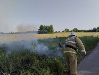 Горение сухой травы ликвидировано