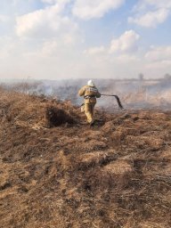 Горение сухой травы оперативно ликвидировано