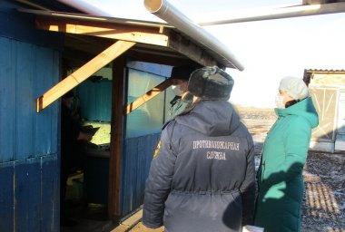 ​Рейды в Черемисиновском районе продолжаются