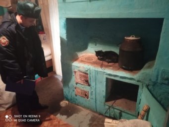 ​Дому с печкой - особое внимание!