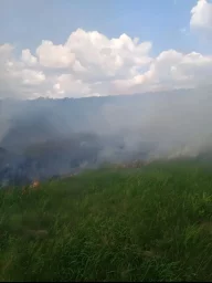 ​Горение травы на территории Курского района