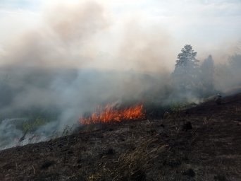 ​Возгорание сухой травы ликвидировано Черемисиновскими пожарными