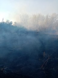 ​Огнеборцы Курского района на тушении пожаров в с. Колодное и д. Лисово