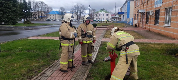 ​Огнеборцы ПЧ Поныровского, Конышевского и Хомутовского районов на проверке ППВ