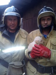 ​Помощь попавшему в беду. Обоянские огнеборцы спасли провалившегося щенка​