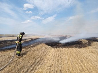 ​Огнеборцы Курского района на борьбе с горением сухой травы
