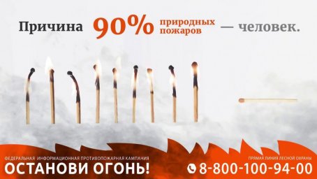 Убедись, что ты потушил костер в лесу (видео)