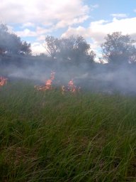 ​Огнеборцы Рыльского района не допустили распространения огня на жилые постройки