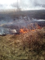 ​Черемисиновские пожарные ликвидировали загорание травы.