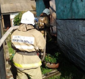 30 пожаров за неделю ликвидировано силами огнеборцев Противопожарной службы Курской области