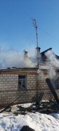 Черемисиновские пожарные потушили дом