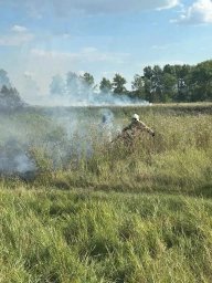 ​Горение сухой травы и камыша в Курском районе ликвидировано