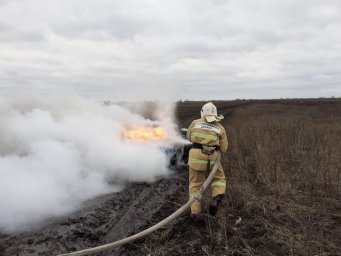 ​Загорание автомобиля успешно ликвидировано Пристенскими пожарными