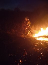 ​Совместными усилиями ликвидировано горение сухой травы в Конышевском районе