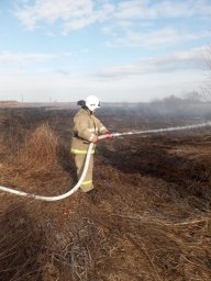 ​Огнеборцы Курского района ликвидировали горение травы