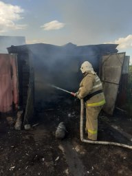​Отстояли дом и не дали распространиться огню