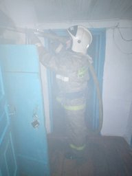 Рыльские пожарные потушили дом