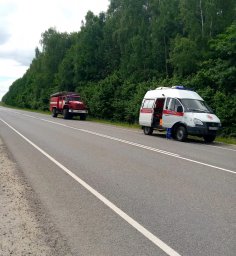 ДТП в Железногорском районе