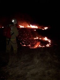 ​Горение травы ликвидировано